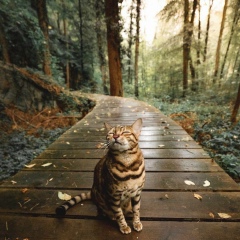 Вячеслав Мандреев, 25.06, Улан-Удэ