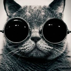 Shanya Званский, 04.12.1987, Kraków