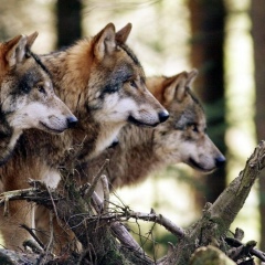 Толеген Нурмагамбетов, 15.11.1969, Астана