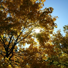 Яна Кривонос, 11.08