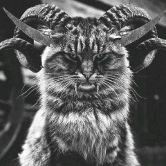 Виталий Алабьев, 30.08.1995, Berlin