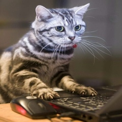 Михаил Николаев, 12.08, Санкт-Петербург