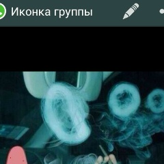 Муродбек Мирзаев, Ташкент
