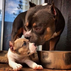 Сергей Закуцкий, 04.04, Белгород