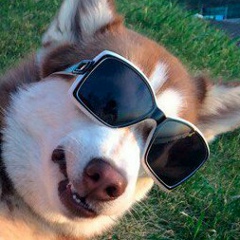 Александр Шибайло, 06.11.1991, Нижний Новгород