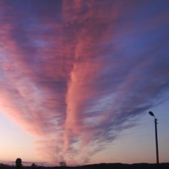 Евгений Ояма, 05.08