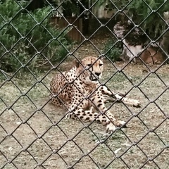 Маша Сариогло, 18.02.1994, Кишинев