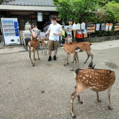 Adilet Kamchibekov, 02.11.1994, Ōsaka