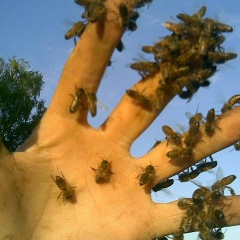 Максим Некрасов, 18.01.1984