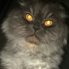 Андрей Гуменецкий, 25.04.1989, Москва