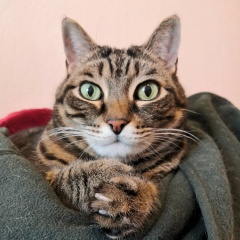 Антон Пластун, 23.05.1986, Екатеринбург