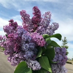 Нигина Сагатова, 06.09.1991, Бишкек