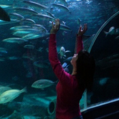 Анна Мазурок