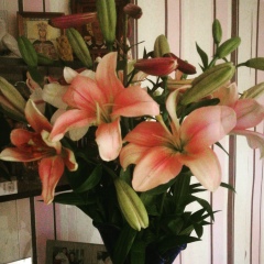 Александра Кезик, 02.07.1982, Астана