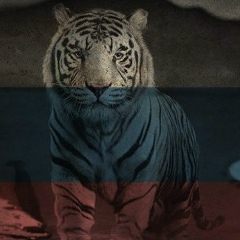 Сергей Белов, 11.10.1962, Москва