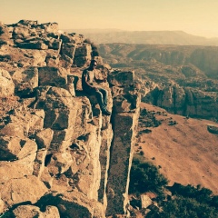 Alaa Mahmoud, 08.07.1986, Санкт-Петербург