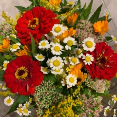 Наталья Морозова, 01.03