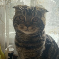 Екатерина Шибанова, 21.05.1987, Смоленск