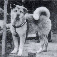 Александр Мерзликин, 22.01.1982