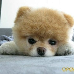 Снежана Яковлева, 16.04, Лихославль