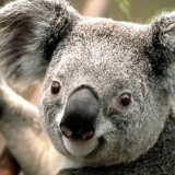 Сергей Харченко, 01.01, Лисаковск