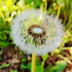 Юлия Николаевна, Москва