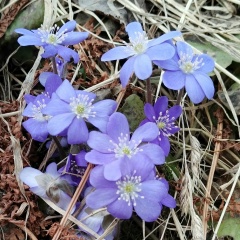 Марина Токмакова, Санкт-Петербург