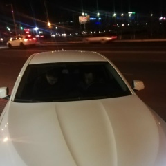 Галым Жумаев, 17.05.1993