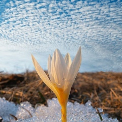 Жжжжжжжжж Гггггггггш, Актау