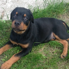 Юлия Днепровская, 18.07, Днепр (Днепропетровск)