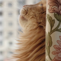 Наталия Зледенная