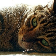 Владимир Иванов, 31.08.1982, Курск