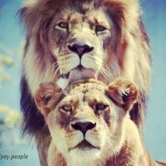 Зухрат Искиндирова, 08.03, Астана