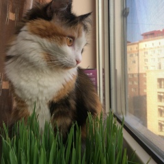 Людмила Бектурганова, 20.05, Алматы