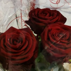 Евгения Лисицына, 03.03.1984, Калининград