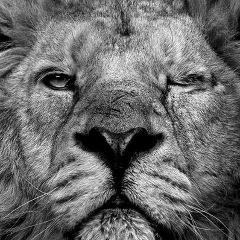 Тельман Тагиев, 29.07.1984, Москва