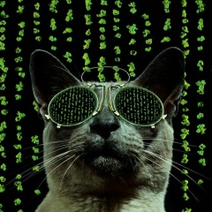 Антон Клёвин, 30.09.1979, Казань