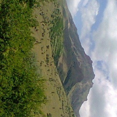 Sasun Hambarcumyan, 24.08.1960