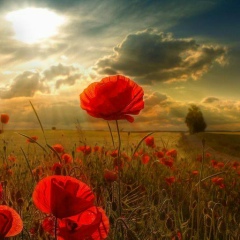 Tony Barden, 26.02.1960