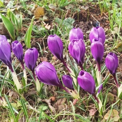 Таня Вайцель, 10.09.1982