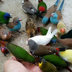 Фаррух Худайбергенов, 28.09.1986