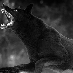 Иван Колокольцев, 01.01.1901