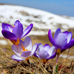 Елена Парыгина, 22.09, Санкт-Петербург