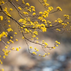 Юлия Антонова, 09.06.1982, Сургут