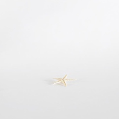 Алла Лория, 22.03.1985