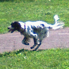 Алексей Яковлев, 17.03.1974