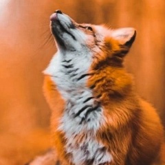 Ххх Ххх, Алматы