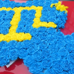 Алие Аметова, 29.11, Евпатория