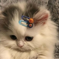 Алия Курмангалиева, 14.06, Каскелен