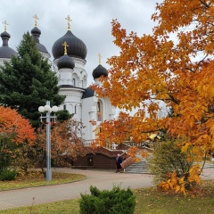 Ирина Т, 09.02, Барановичи